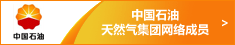 中国石油天然气集团公司一级供应网络成员 中国石油天然气集团公司一级供应网络成员