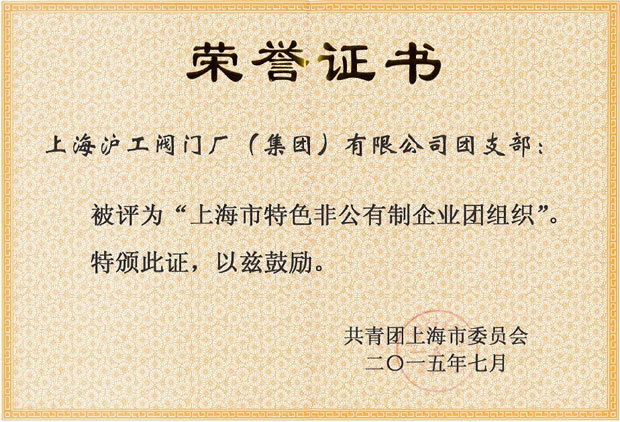 上海沪工阀门厂-上海市特色非公有制企业团组织荣誉证书